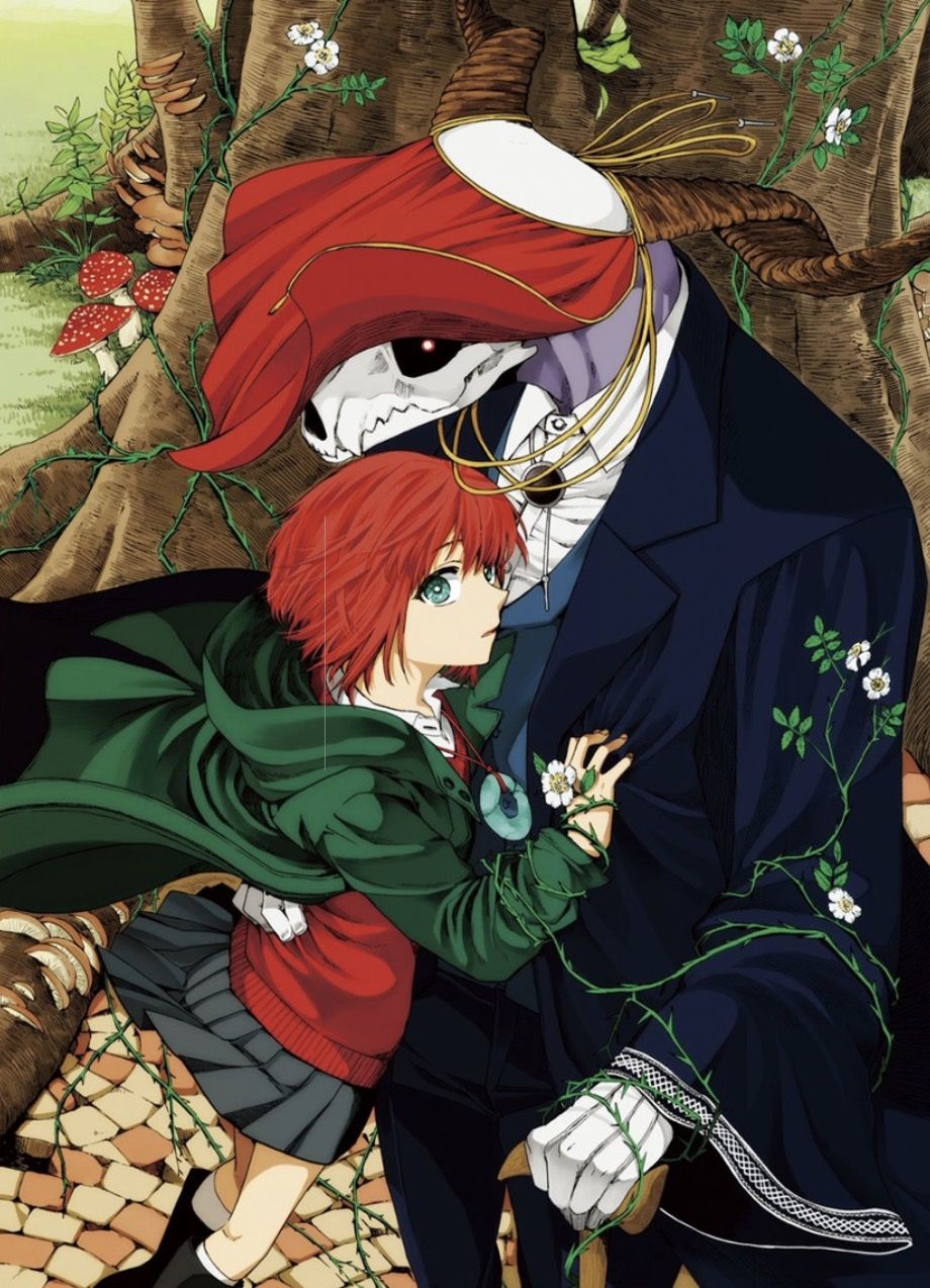 The ancient magus bride visual 9