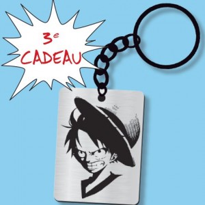 One piece log cadeau3