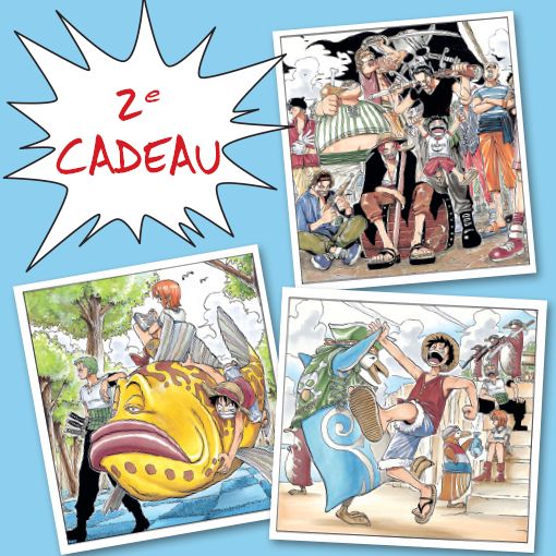 One piece log cadeau2