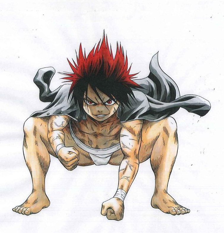 Hinomaru zumo visual 3