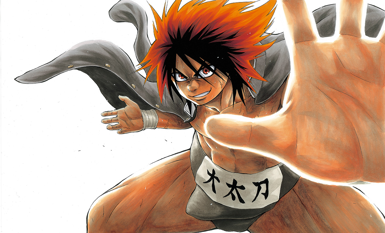 Hinomaru zumo visual 5