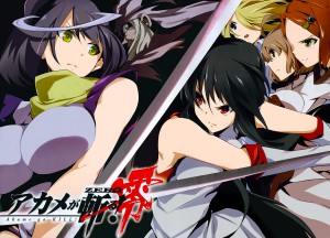 Akame ga kill zero visual 4