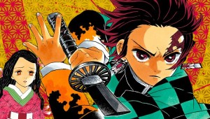 Demon slayer manga visual 1