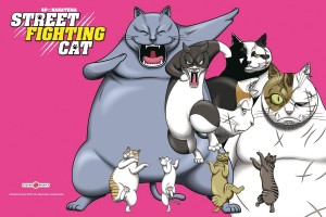 Fond ecran street fighting cat 3