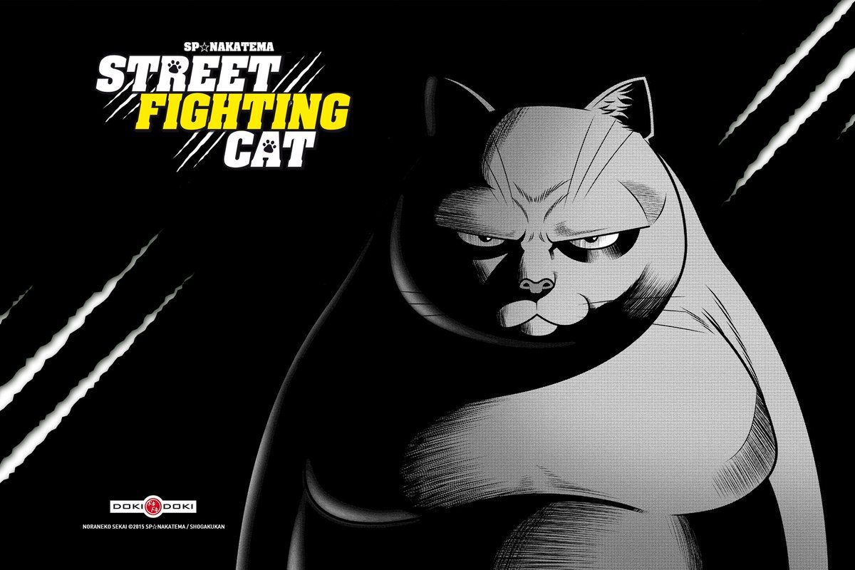 Fond ecran street fighting cat 2