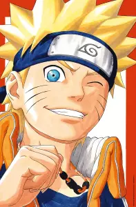 Naruto visual 13.