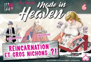 Annonce made in heaven akata