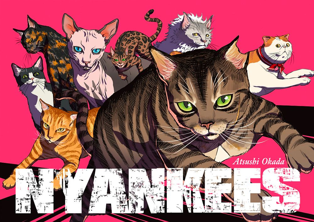 Nyankees visual 1