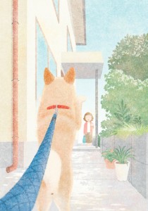 Shiba drole de chien visual 1