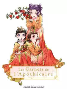 Carnet de apoticaire visuel 3.