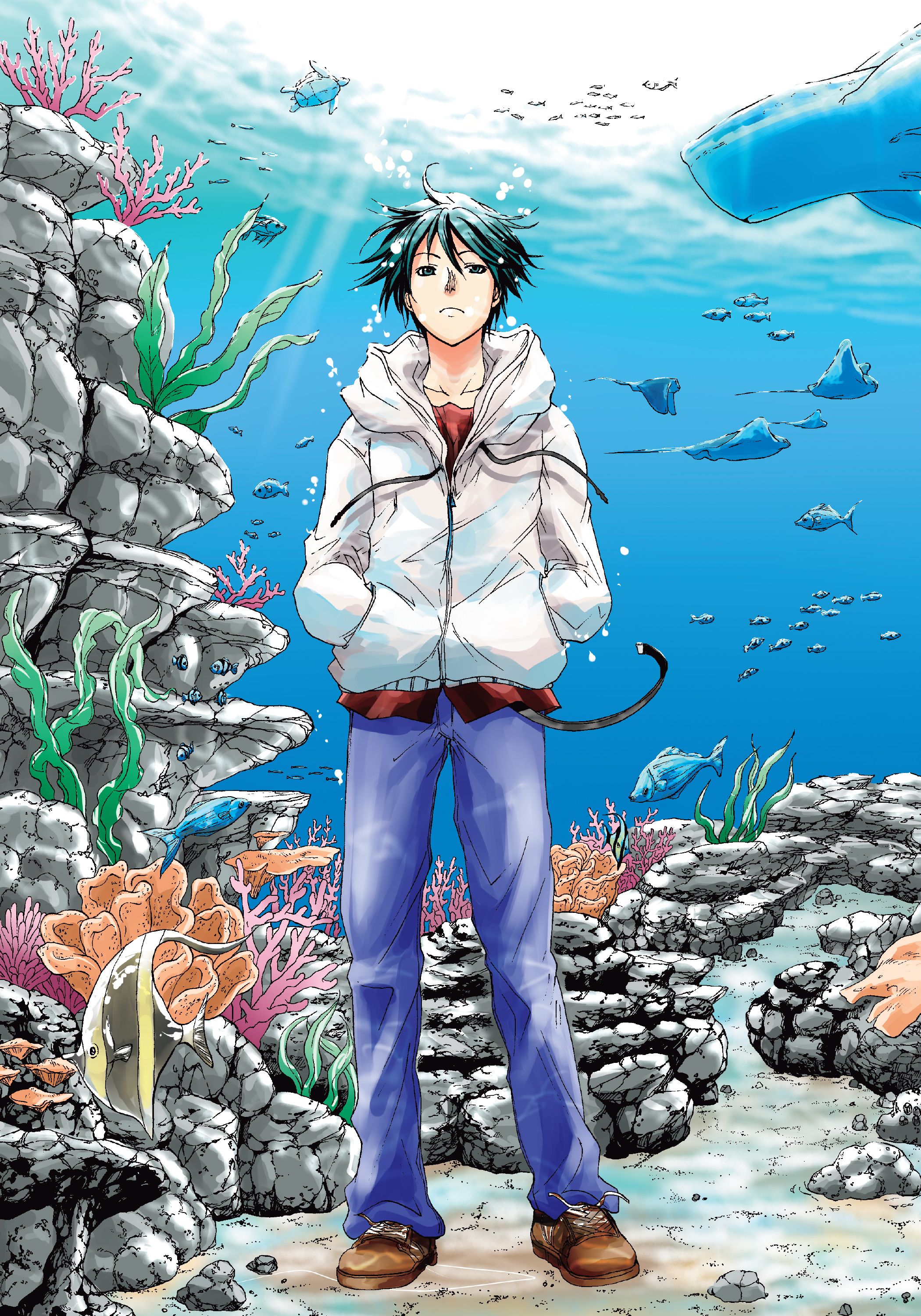 Grand Blue Scan 80 Visuels manga Grand Blue (grand-blue-manga-visual-1) - Manga news