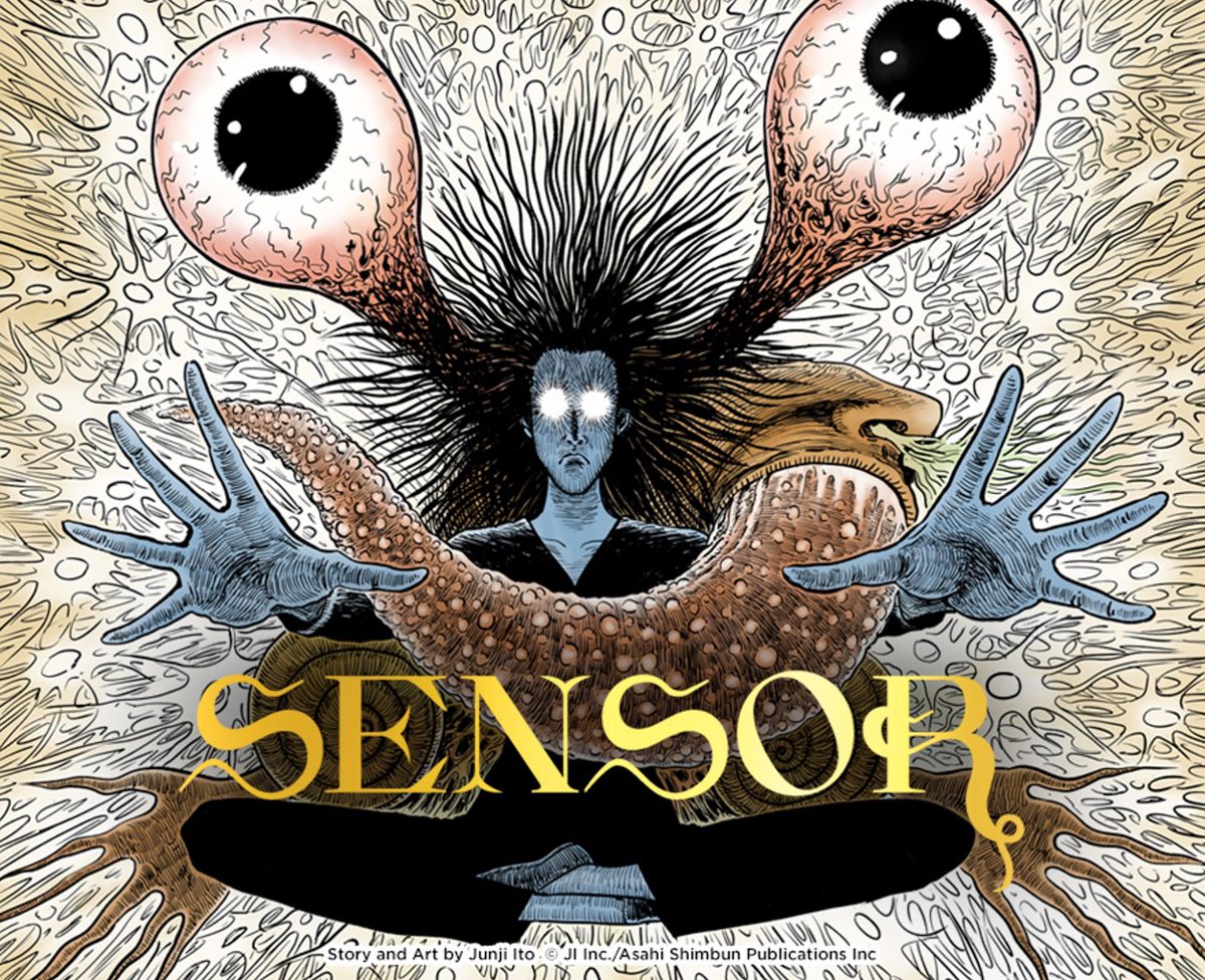 Sensor visual 1