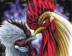 Rooster_Fighter visual 6