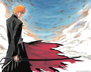 Bleach visual 6