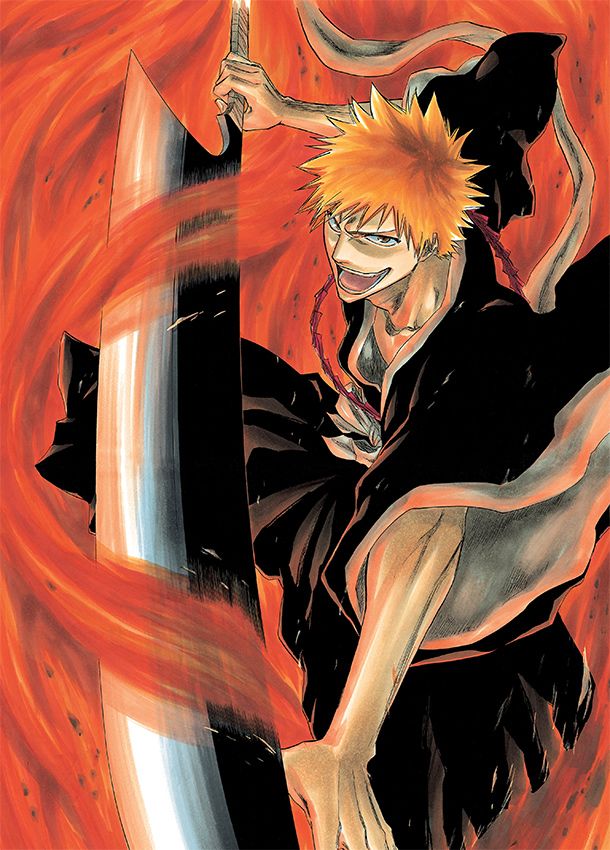 Bleach visual 2