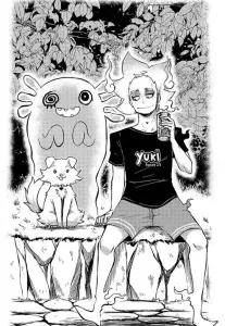Piravit illustration 9.