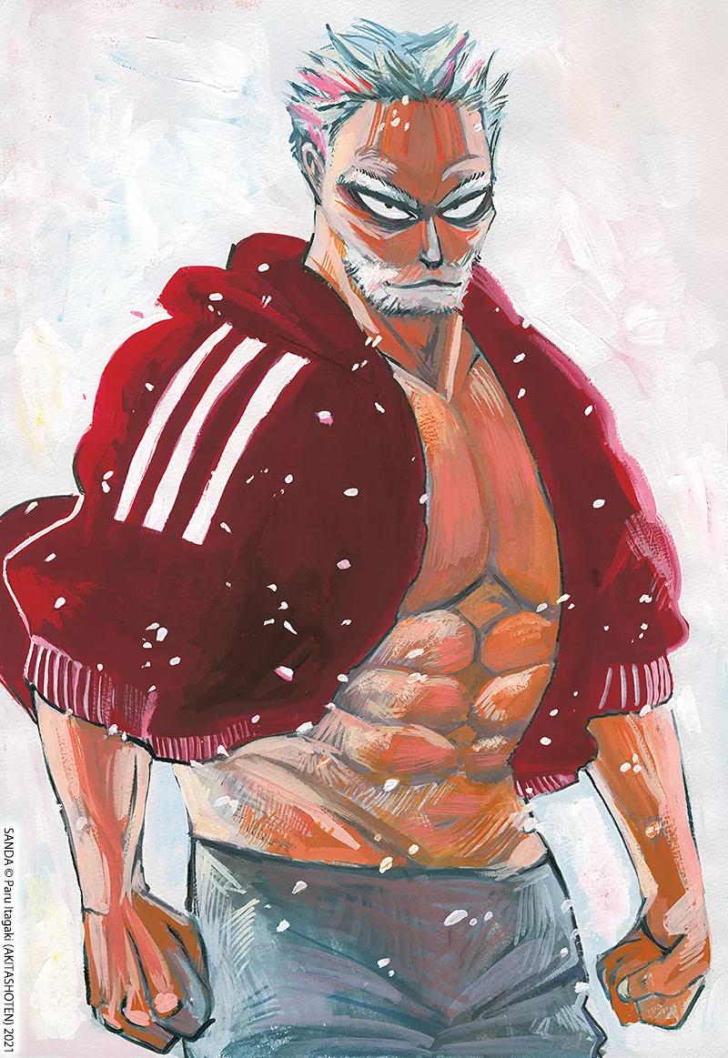 Sanda visual 1.