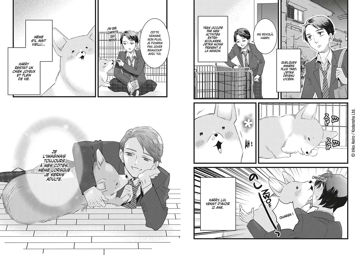 Mon chien pour la vie planches 5.