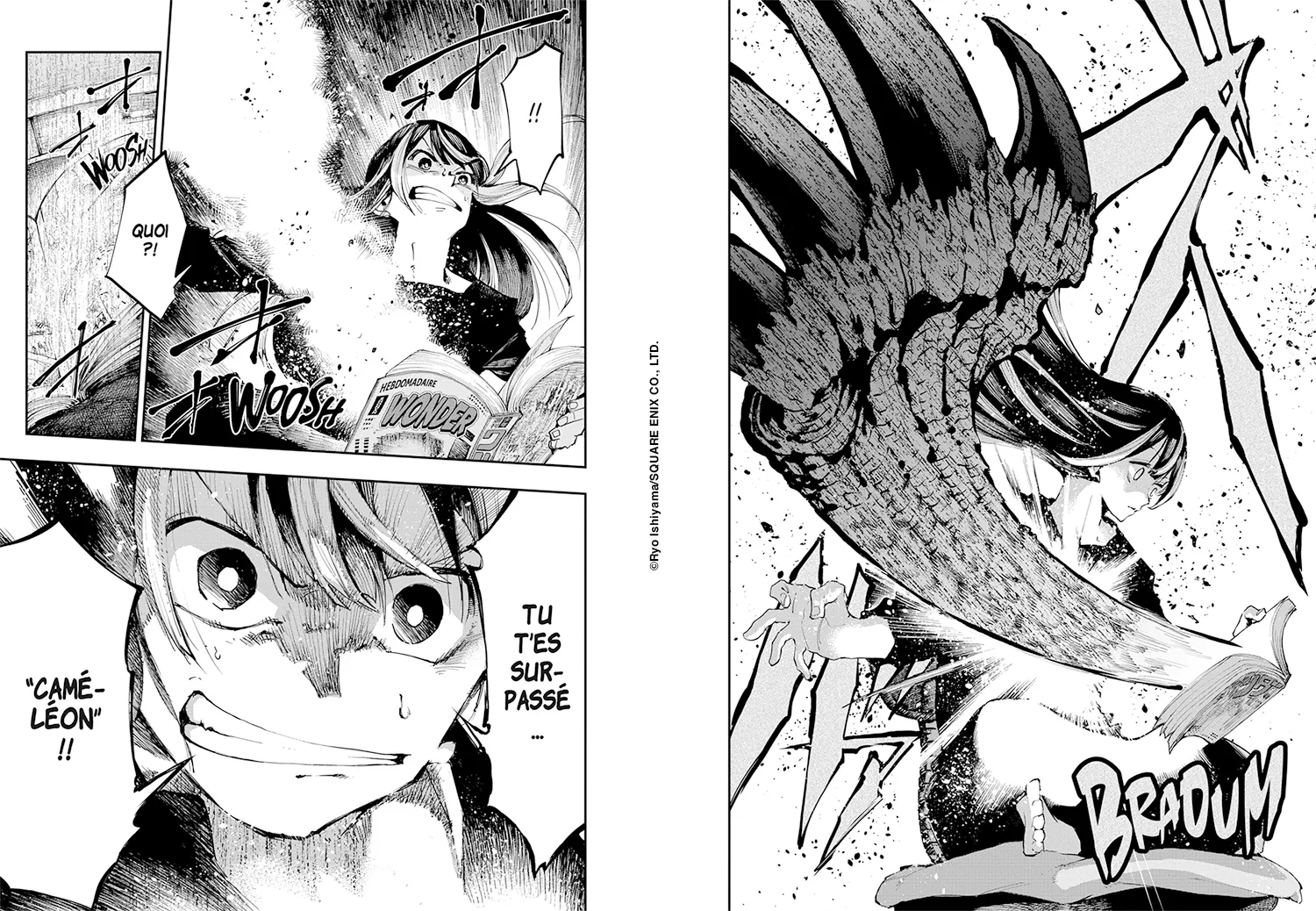 Dragon et Cameleon planche 4.
