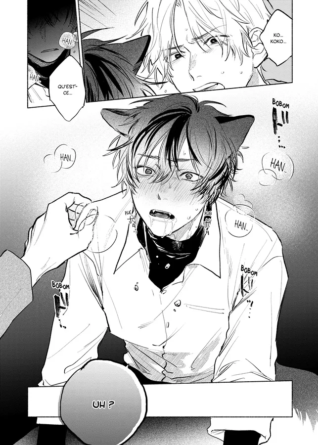 My fluffy moody crush taifu planche 4.