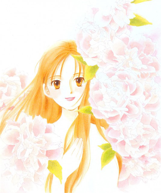 Kare kano manga visual 7