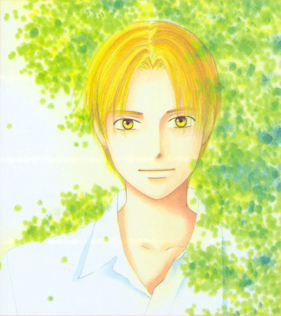 Kare kano manga visual 8