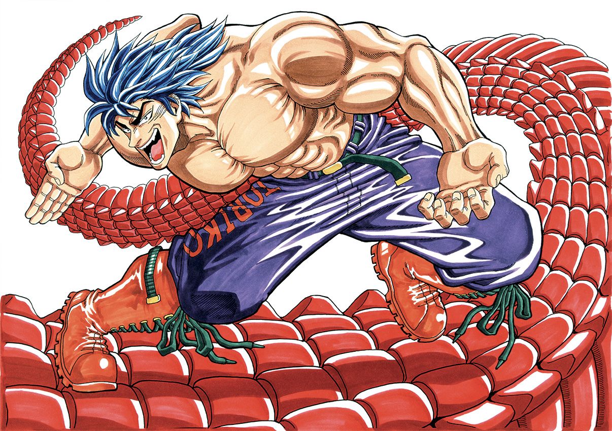 Toriko manga visual 1