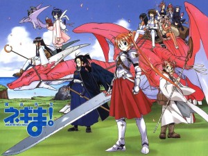 Negima visual 8