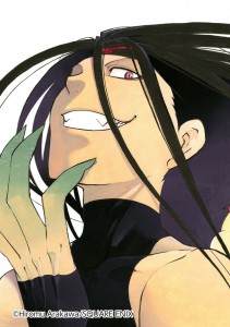 Fma visual 7