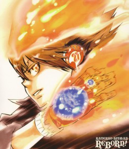 Katekyo Hitman Reborn visual 9