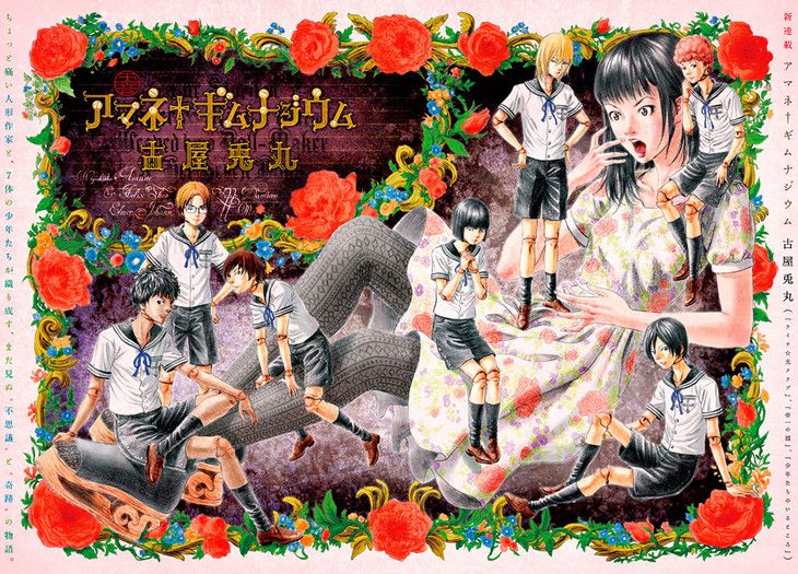 Amane gynmnasium visual 1