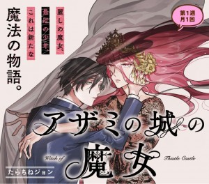 Azami no shiro majo visual