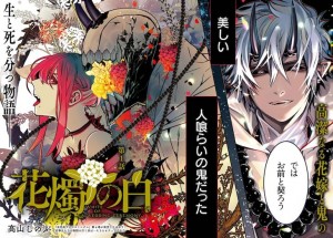 Kashoku no shiro color page