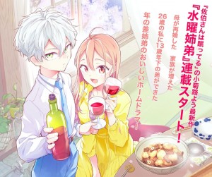Suiyo Kyodai visual color