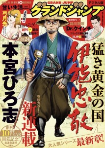 Takeki Ogon no Kuni mag couv
