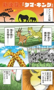 Tama_King color 2