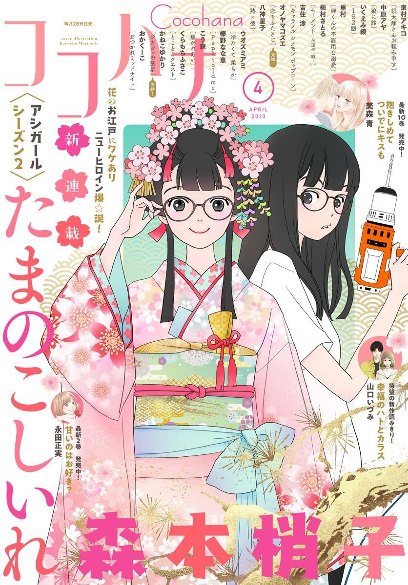 Tama no Koshi Ire mag couv
