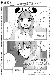 Seishun Buta Yaro wa Orusuban Imoto no Yume wo Minai intro