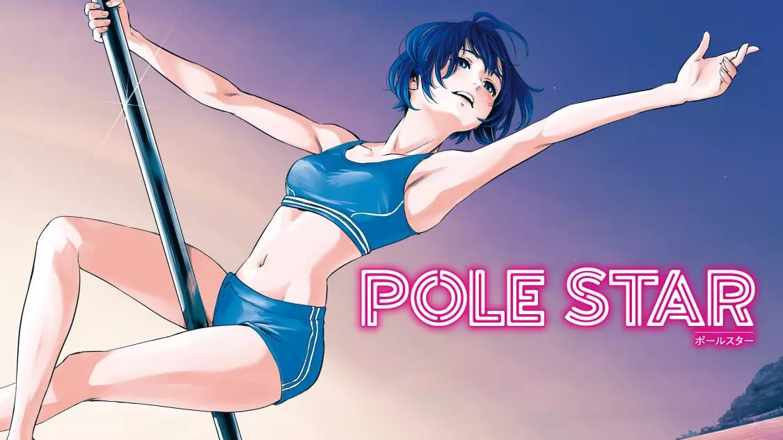 Pole Star visual.