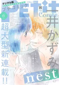 Nest mag couv.