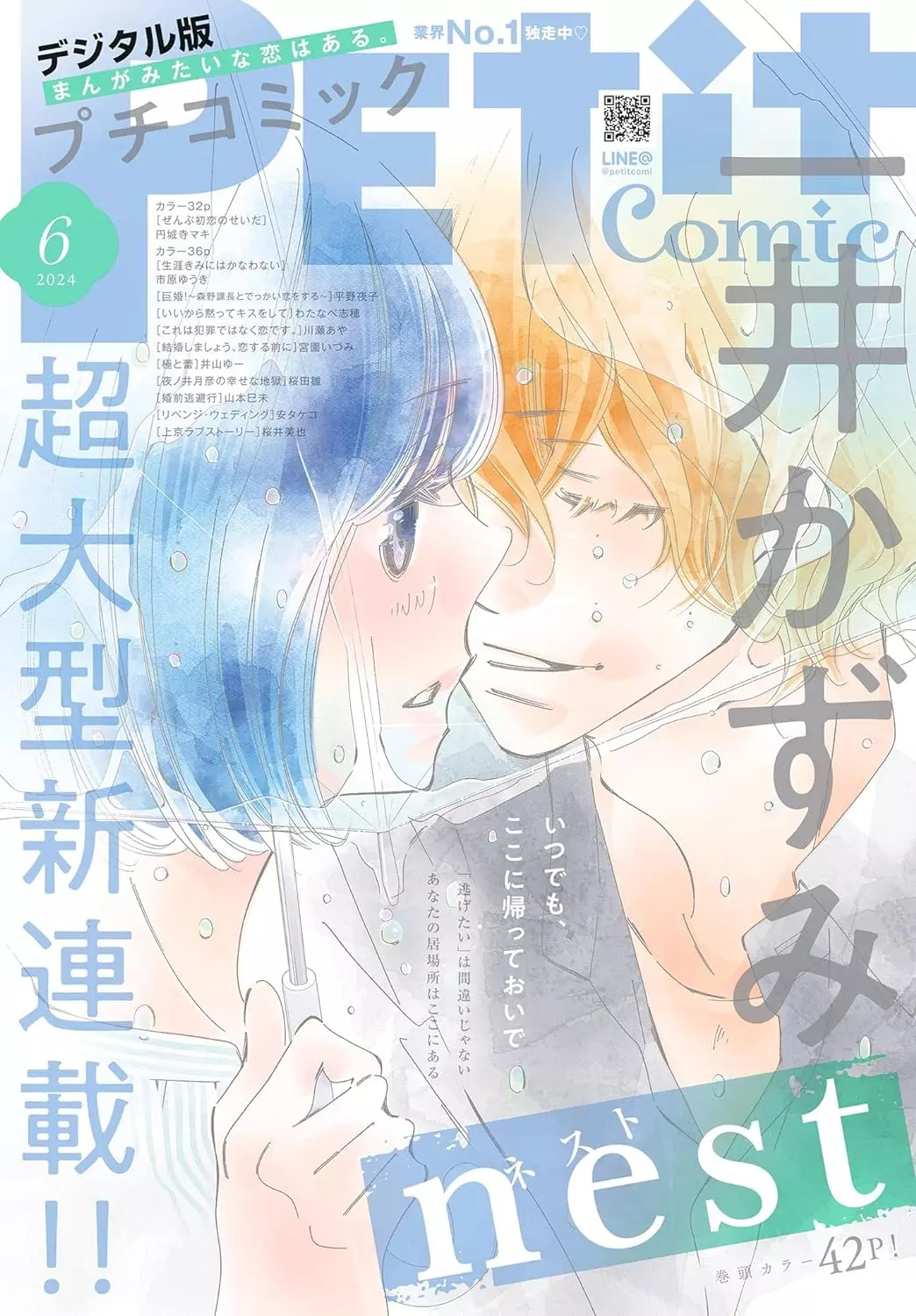 Nest mag couv.