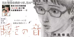 Mabataki no Oto visual.