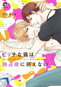 Bitch na Neko wa Dokusenyoku ni Aragaenai vo
