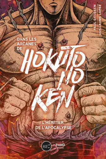 Manga - Dans les arcanes de Hokuto no Ken
