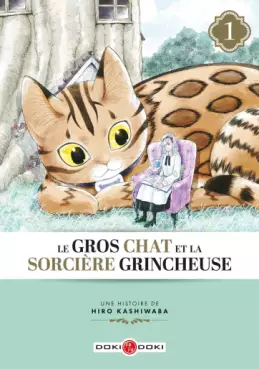 Manga - Manhwa - Gros Chat et la Sorcière grincheuse (le)