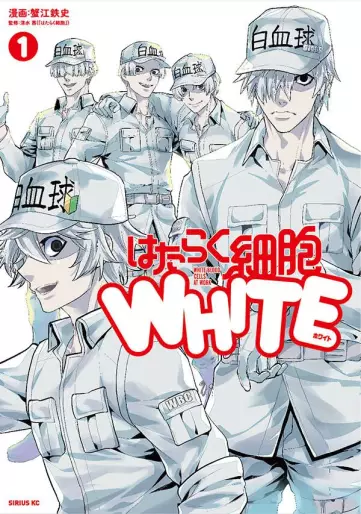 Manga - Hataraku Saibô White vo