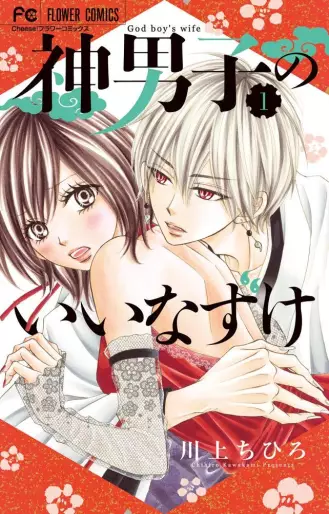 Manga - Kamidanshi no Iinazuke vo