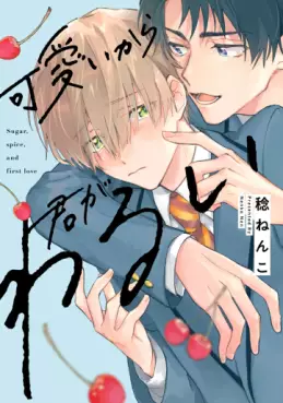 Kawaii kara Kimi ga Warui vo