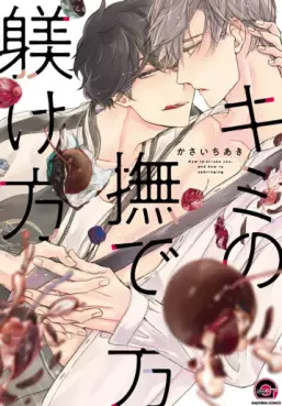Kimi no Nadekata Shitsukekata vo