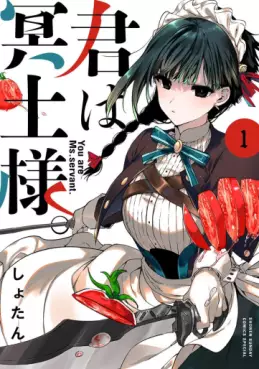 Mangas - Kimi wa Meido-sama vo